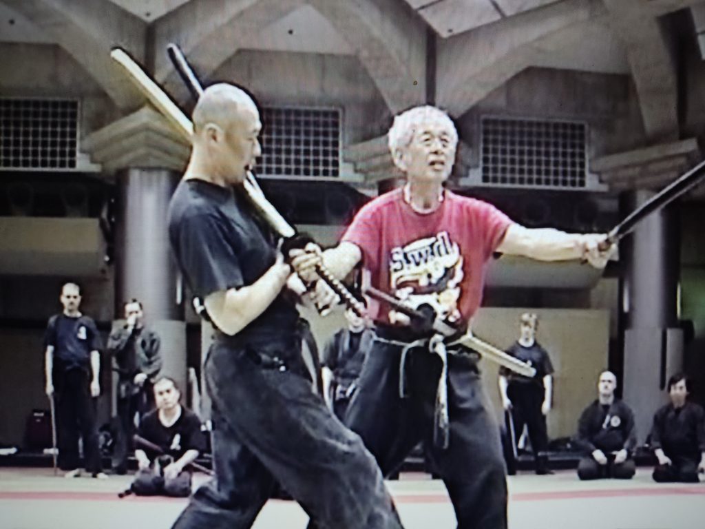 Hatsumi Ninjutsu